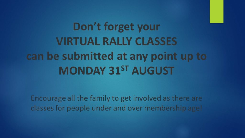 Virtual Rally Reminder